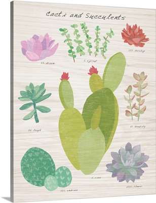 Succulent and Cacti Chart III on Wood