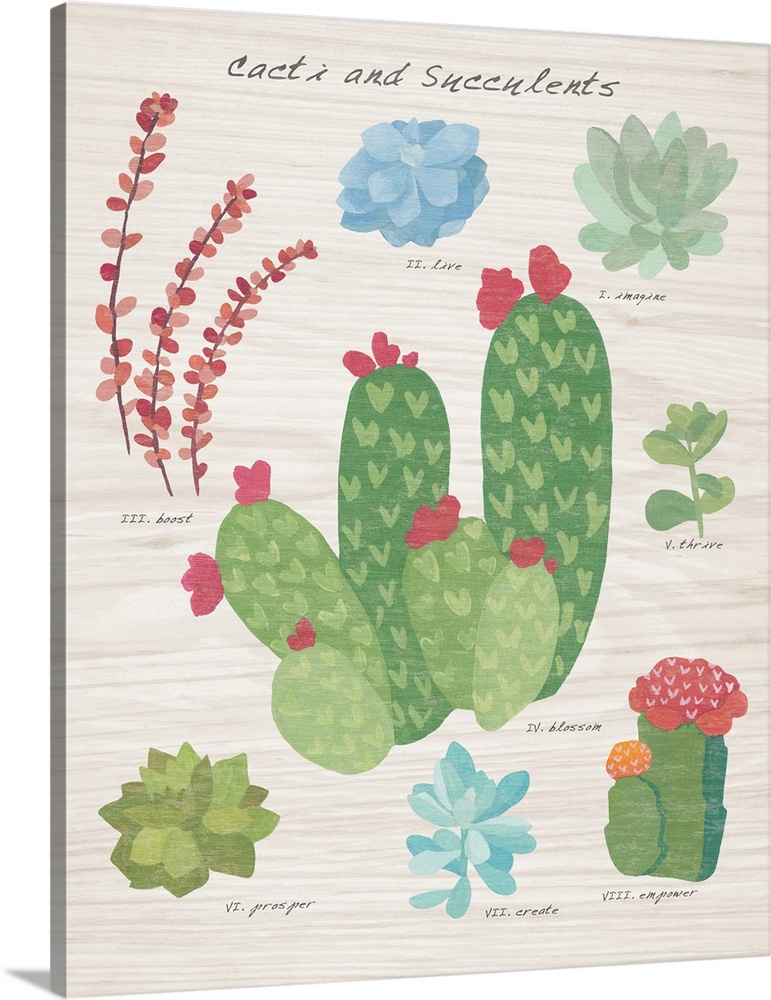 Decorative artwork of different types of succulents and cacti with labels on a faux wood background.