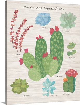 Succulent and Cacti Chart IV on Wood