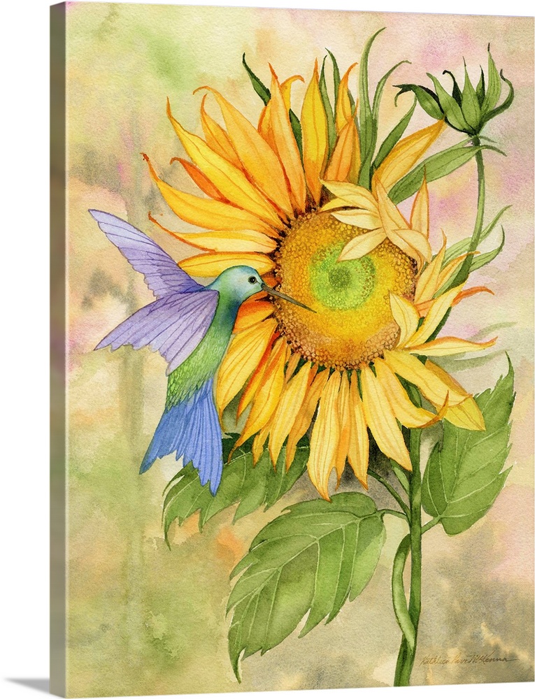 A vertical watercolor painting of a hummingbird at a large sunflower bloom with a muted multi-colored blurred background.