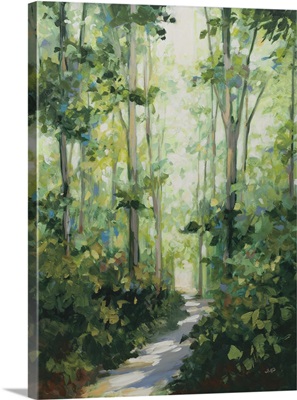 Summer Path