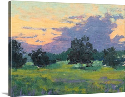 Sunset Fields