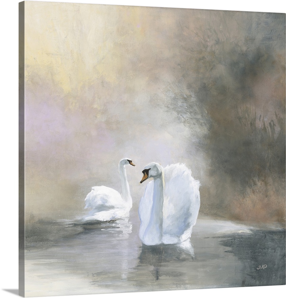 Swans In Mist
