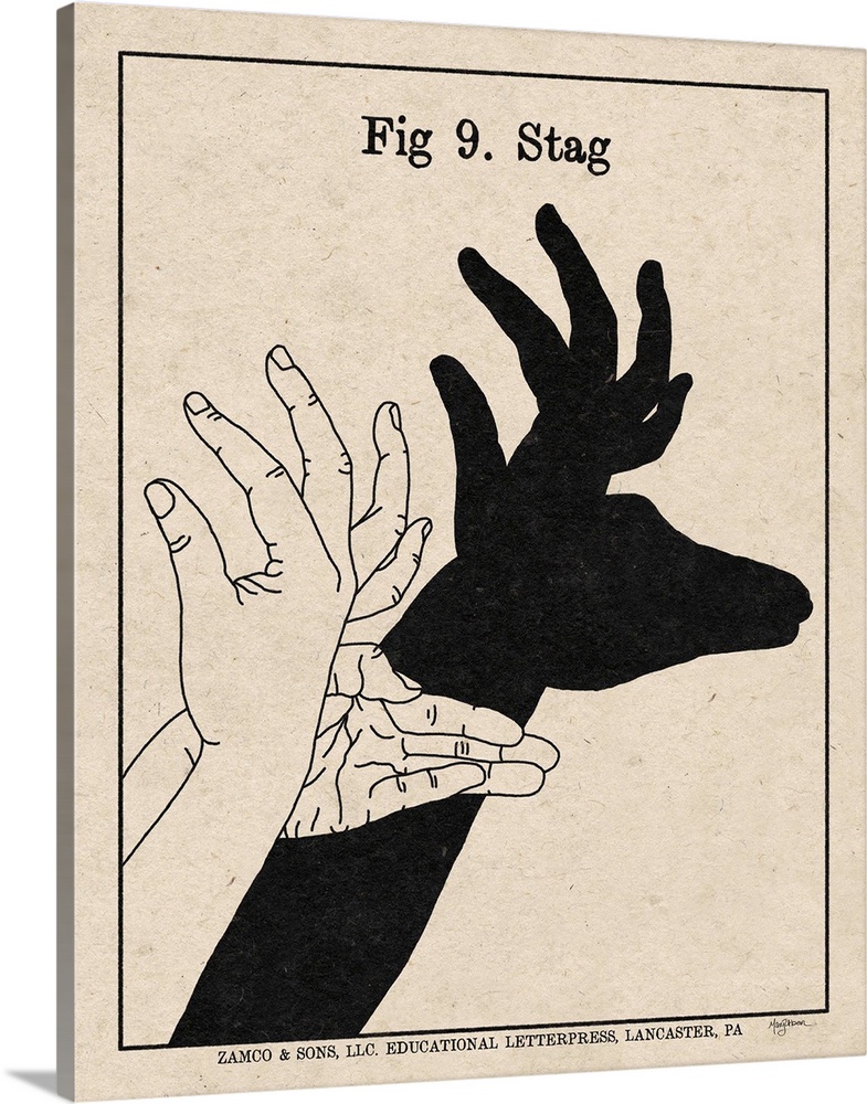 Instructional illustration of a stag hand shadow puppet.