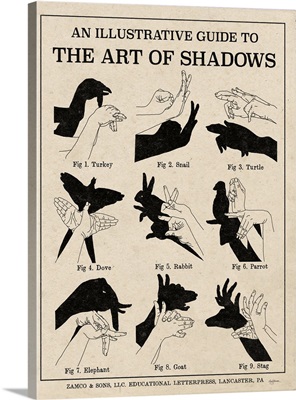 The Art of Shadows X