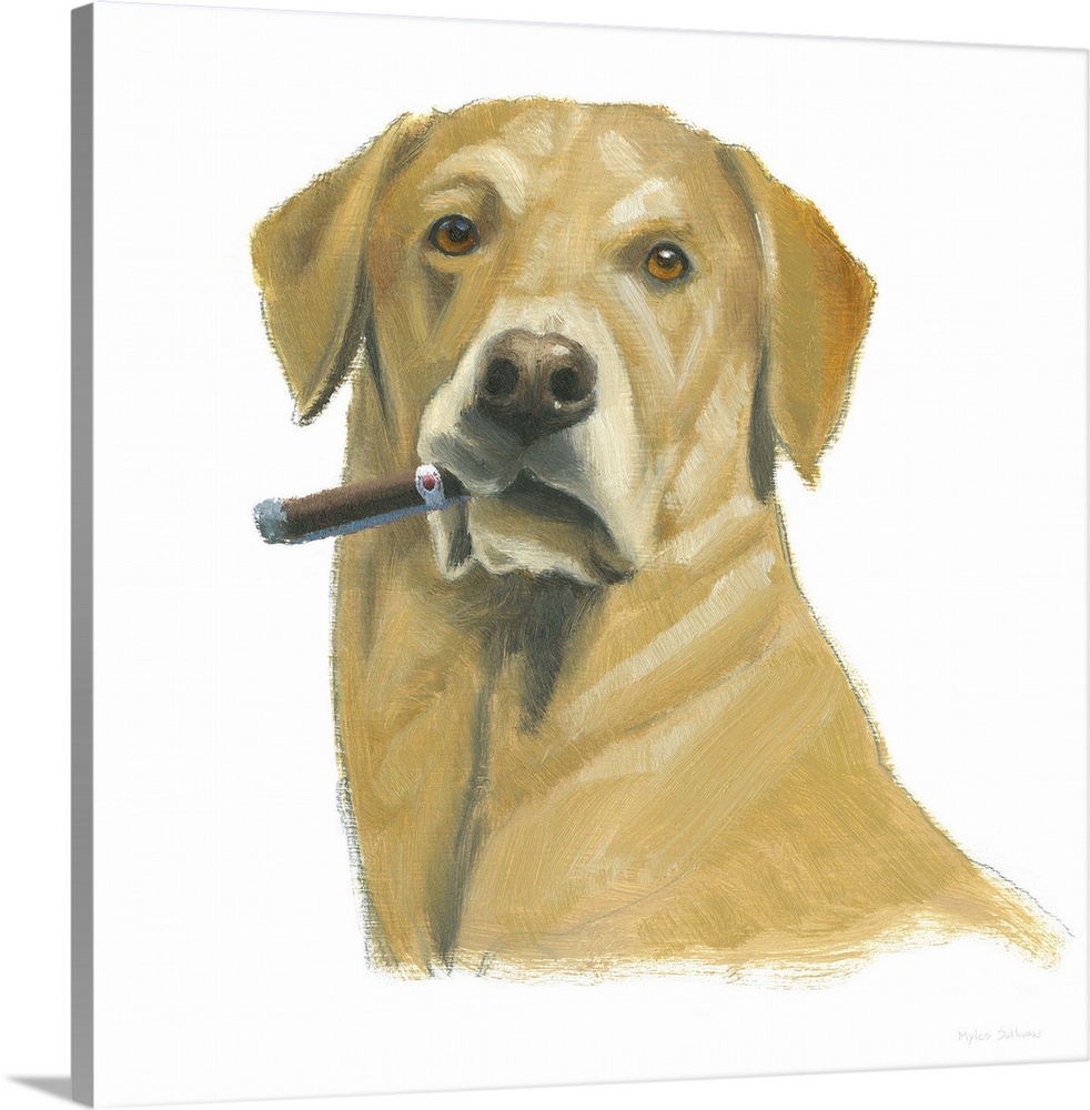 Square painting of a yellow lab smoking a cigar on a solid white background.
