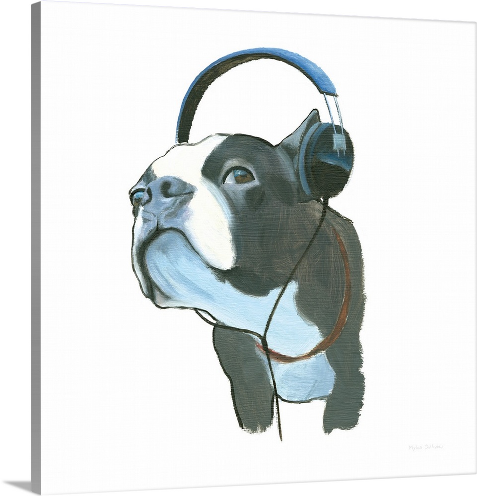 Square painting of a Boston terrier wearing headphones on a solid white background.