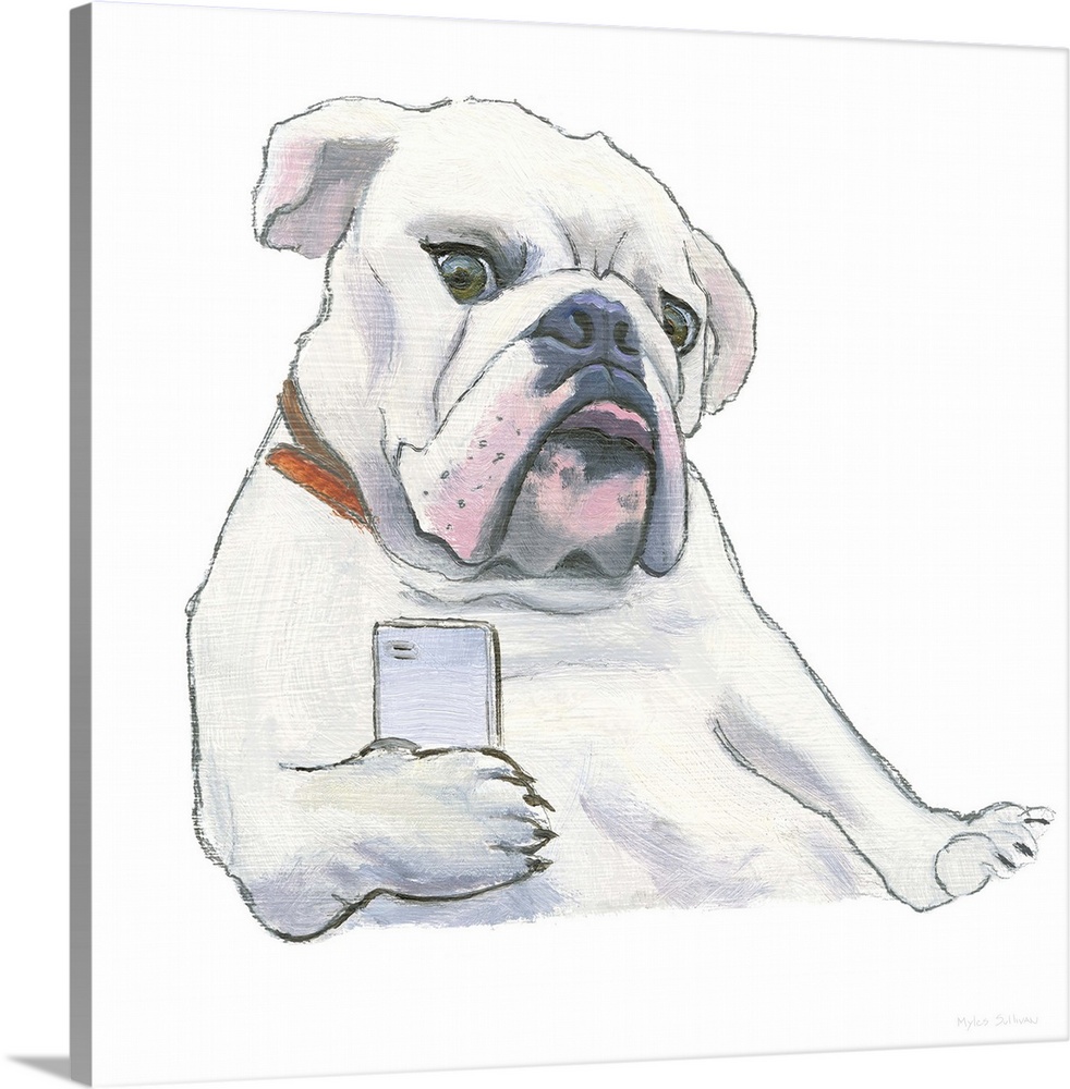 Square painting of a white bulldog using a cellphone on a solid white background.
