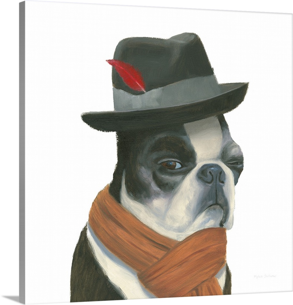 Square painting of a "hipster" Boston Terrier wearing a black fedora with a red feather and a scarf.