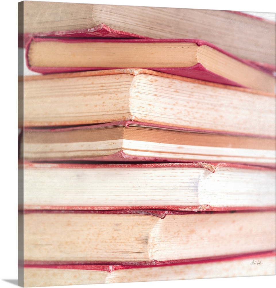 The Promise Of Romance