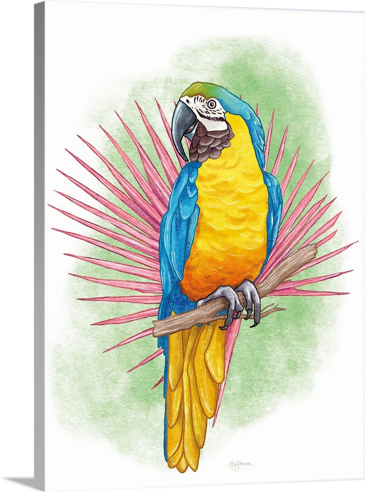 Vertical illustration of a colorful macaw parrot perched on a branch with a green background.