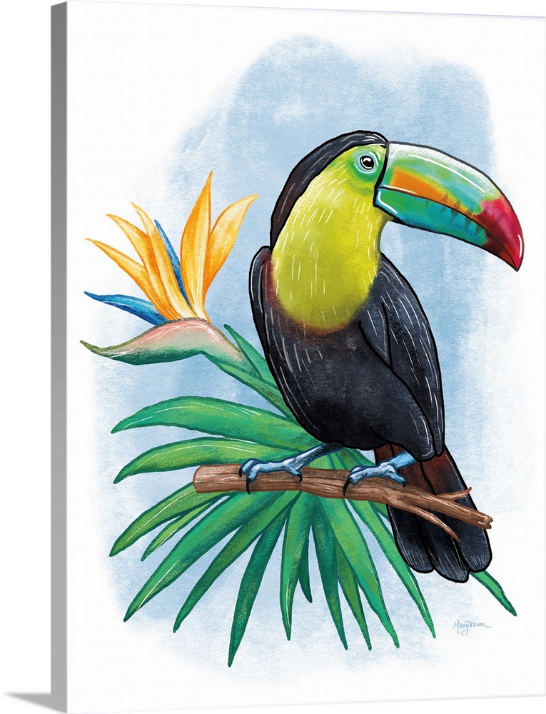 Vertical illustration of a colorful toucan  perched on a branch with a blue background.