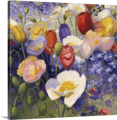 Tulips and Poppy Party