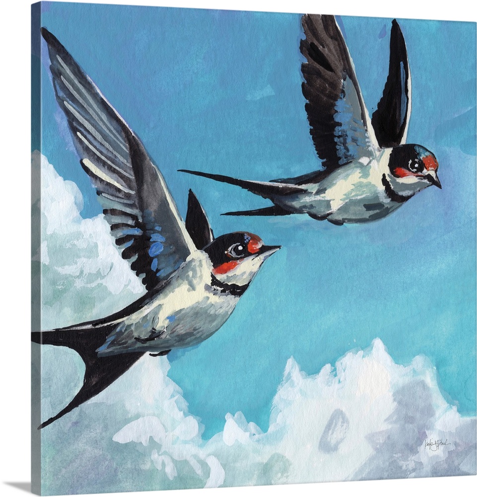 Two Birds In The Clouds