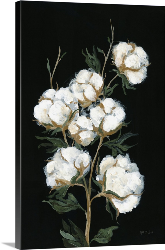 Vintage Stems of Cotton