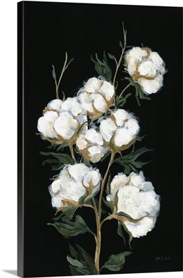 Vintage Stems of Cotton