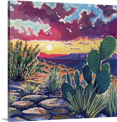 Warm Southwestern Sunset