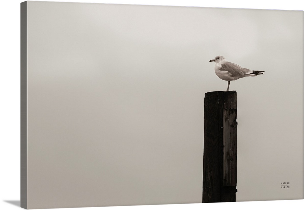 Watching The Rain Fall