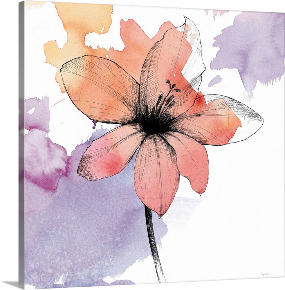 A square watercolor painting of a orange lily with black sketched lines.