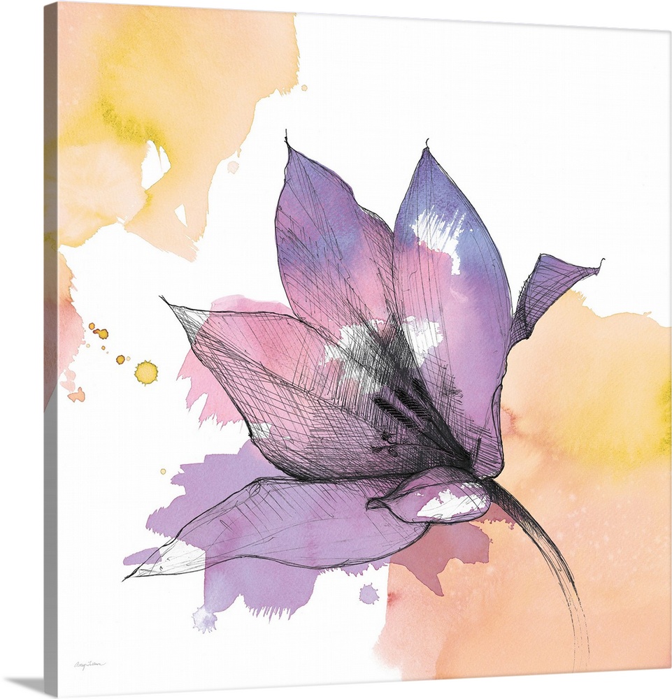A square watercolor painting of a purple lily with black sketched lines.