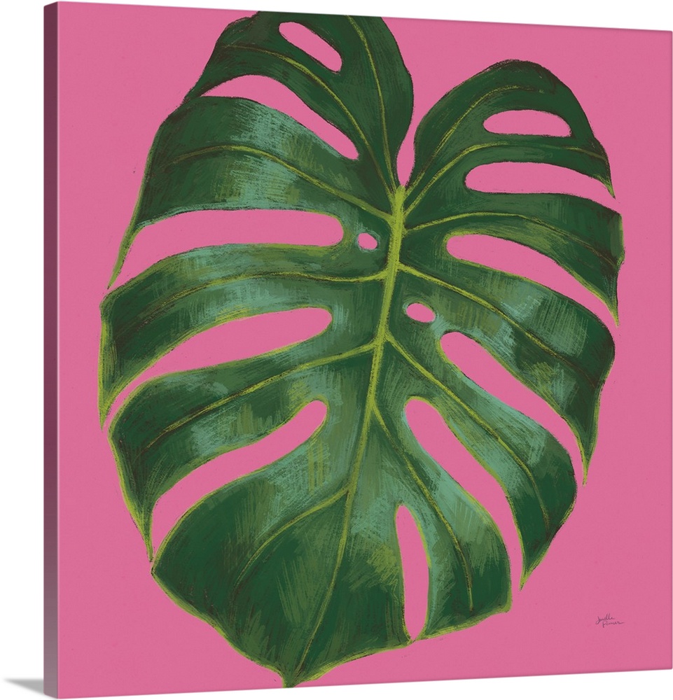 Illustration of a palm leaf in shades of green with blue highlights on a bright pink, square background.