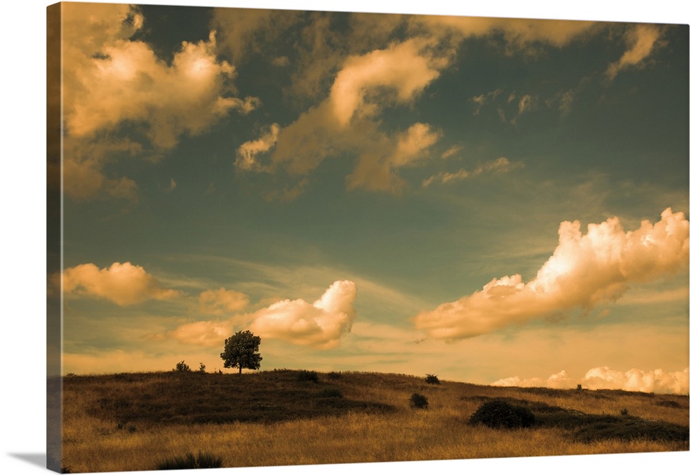 Photograph of a field with a single tree beneath of cloud filled sky in warm tones.