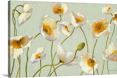 White and Bright Poppies