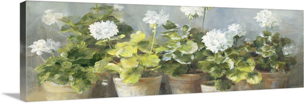 White Geraniums v2