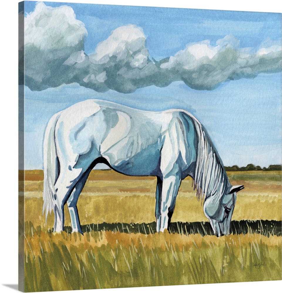 White Horse Grazing