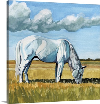 White Horse Grazing