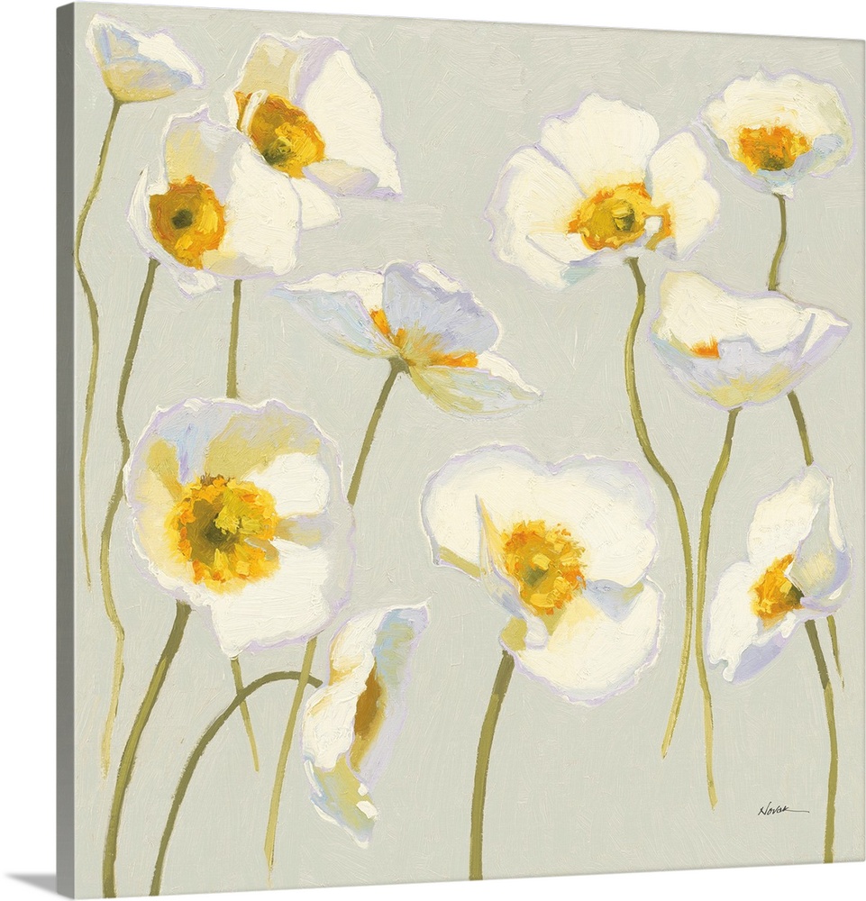White On White Poppies