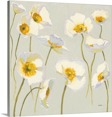 White On White Poppies