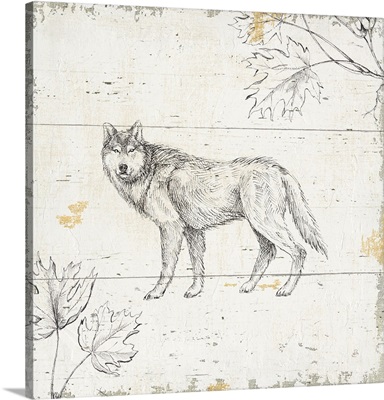 Wild and Beautiful VIII