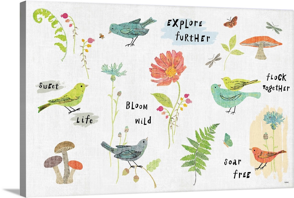 Digital illustration of birds and flowers with text of "Explore Further", "Flock Together", Sweet Life", Bloom Wild, and "...