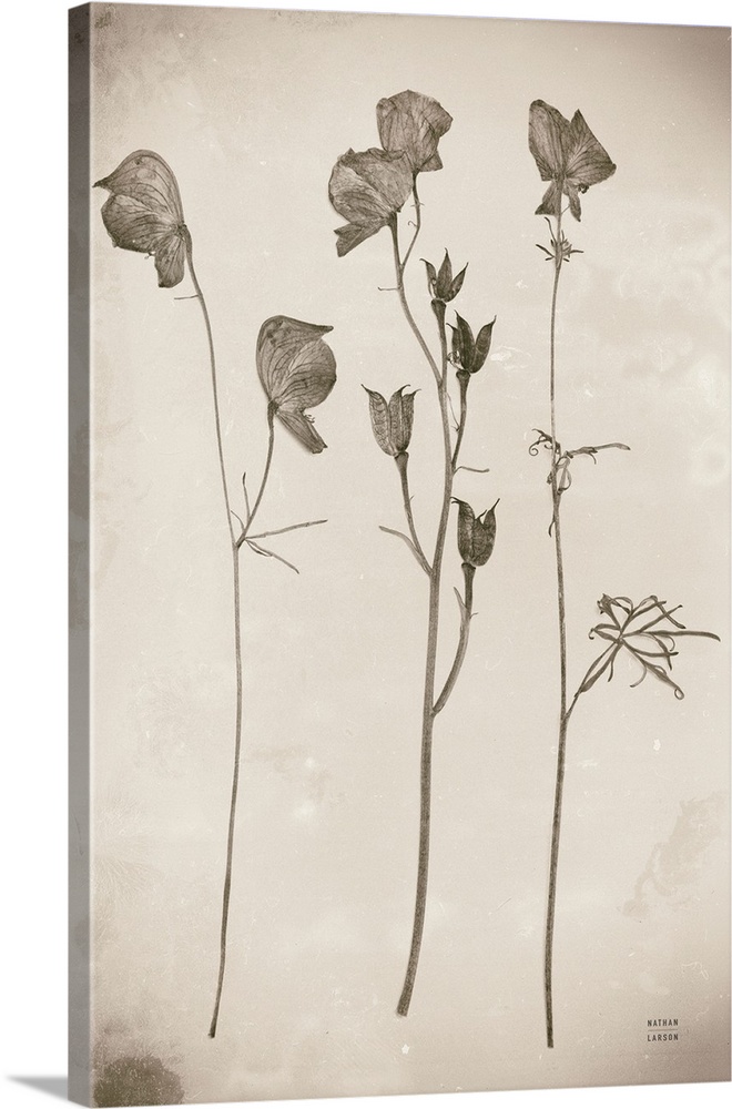 Wildflower Journal Vintage III