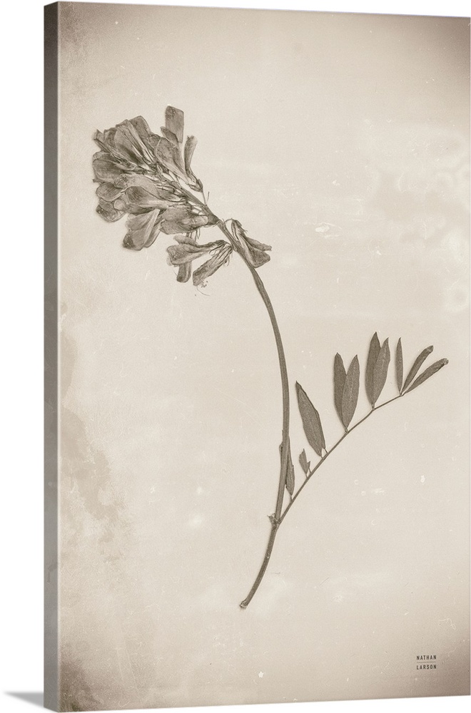 Wildflower Journal Vintage V