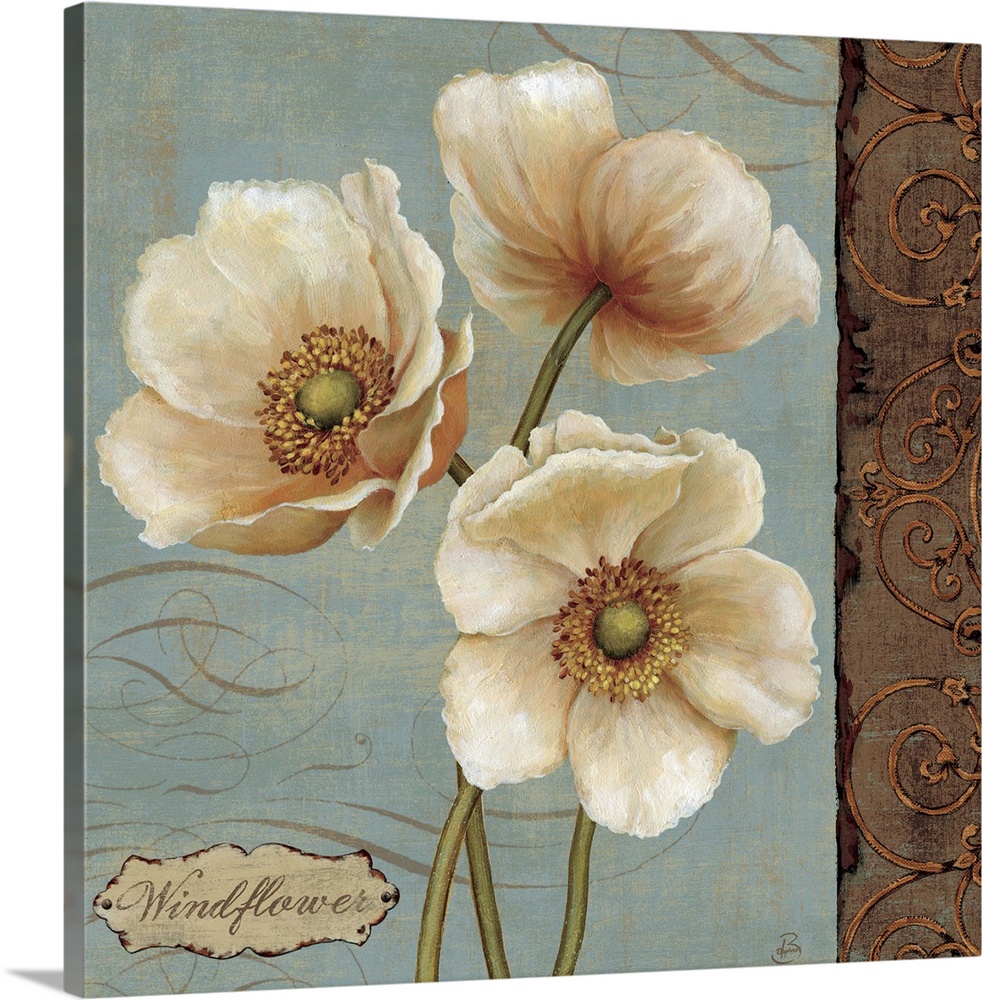 Large white flowers are drawn against a soft blue background with a patterned design just to the right of them.