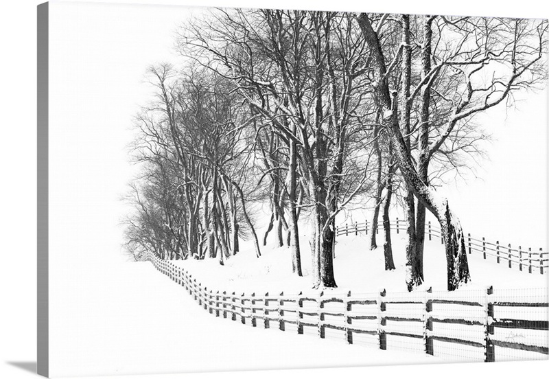 Winter Wonderland | Great Big Canvas