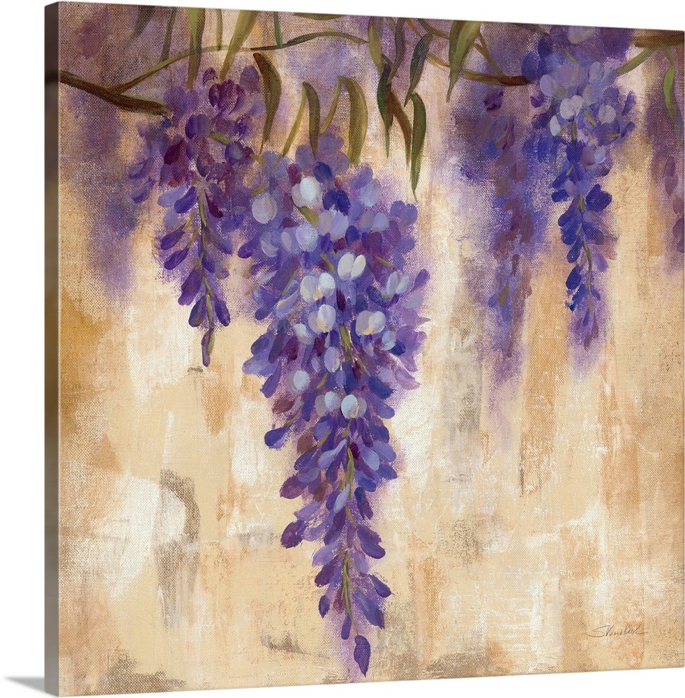 Wisteria Bloom II Wall Art, Canvas Prints, Framed Prints, Wall Peels