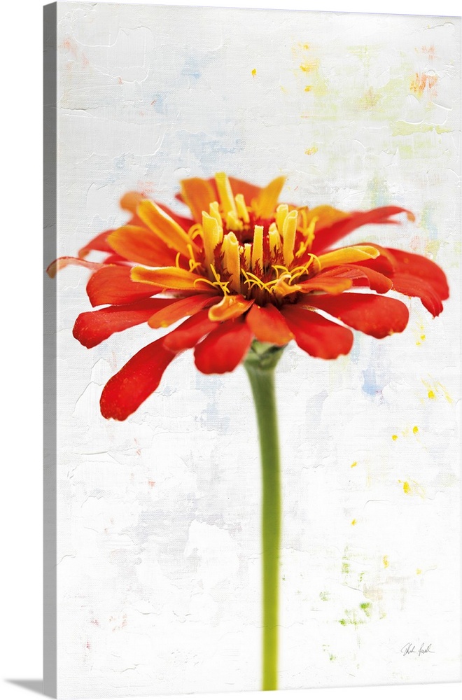 Wonderful Wildflowers IX