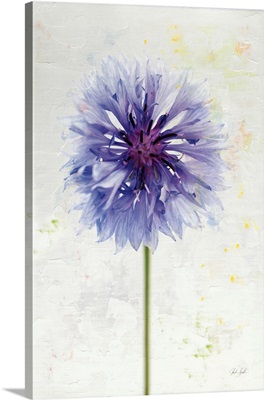 Wonderful Wildflowers X