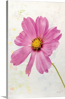 Wonderful Wildflowers XII