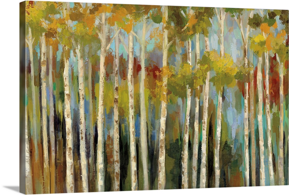 Contemporary artwork of a forest of thin birch trees in fall colors.