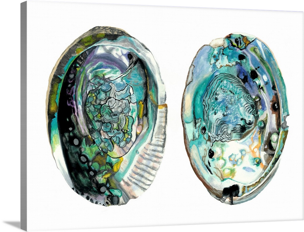 Contemporary artwork of two detailed abalone shell halves.