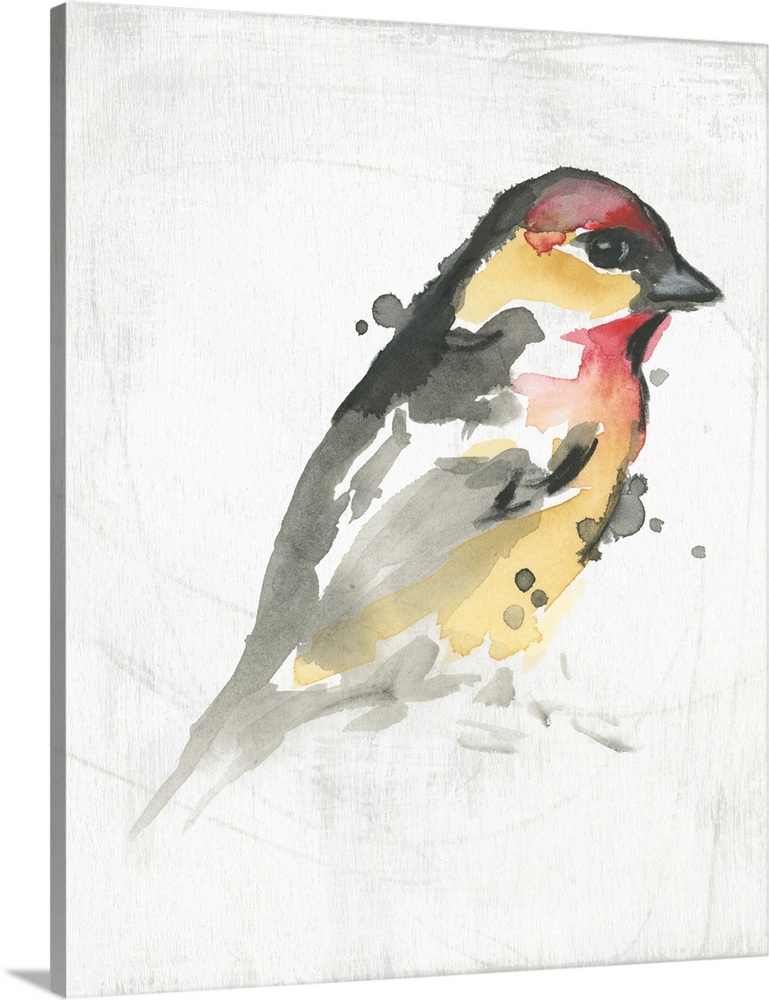 Abstract Songbird Study I