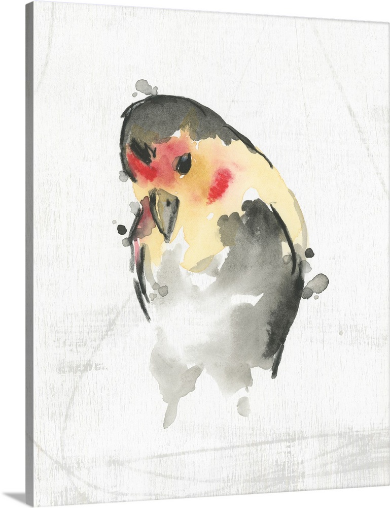 Abstract Songbird Study II