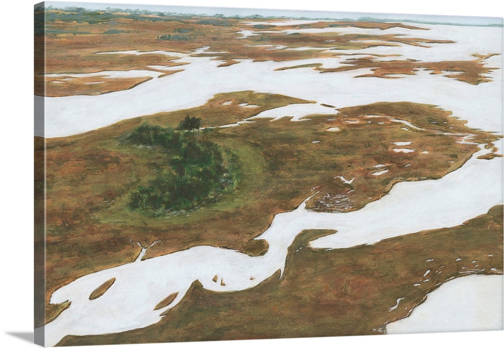 Aerial Marshland I