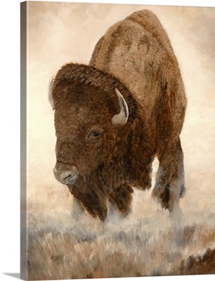 Buffalo & Bison Art - Buffalo & Bison Prints & Drawings | Great Big Canvas