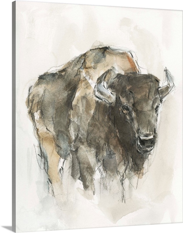American Buffalo I Wall Art, Canvas Prints, Framed Prints, Wall Peels ...