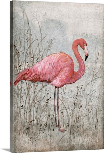 American Flamingo I | Great Big Canvas